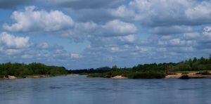 La Loire à Luthenay-Uxeloup (M.Leblanc, © CENB)