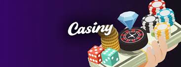 Everything You Need to Know About Casiny Login Everything You Need to Know About Casiny Login